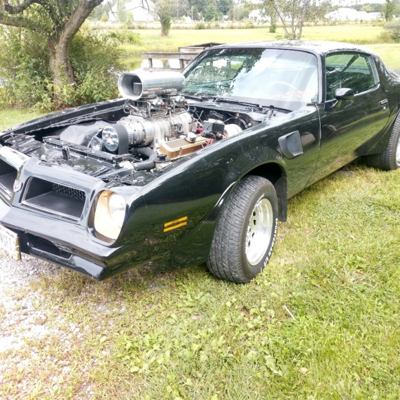 Meet your Posher, Daniel - Picture 1 of 1